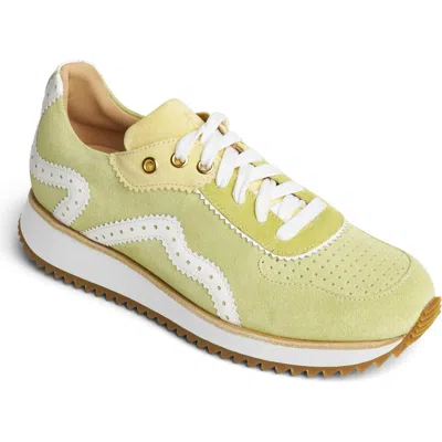 The Office Of Angela Scott The Remi Sneaker