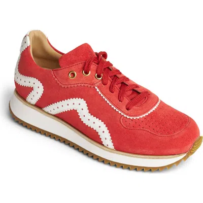 The Office Of Angela Scott The Remi Sneaker In Blood Orange