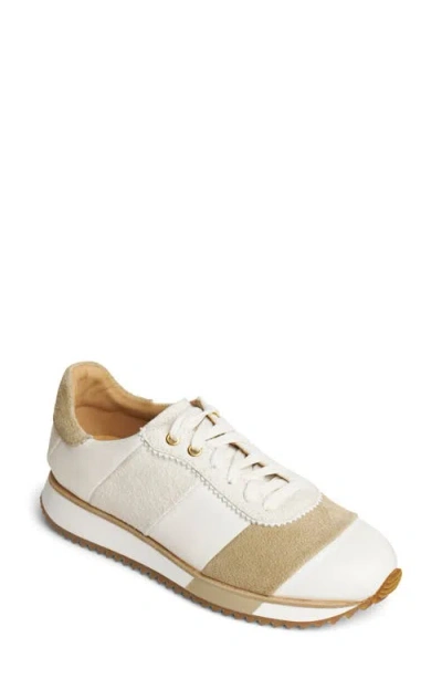 The Office Of Us The Quinn Sneaker In Brown