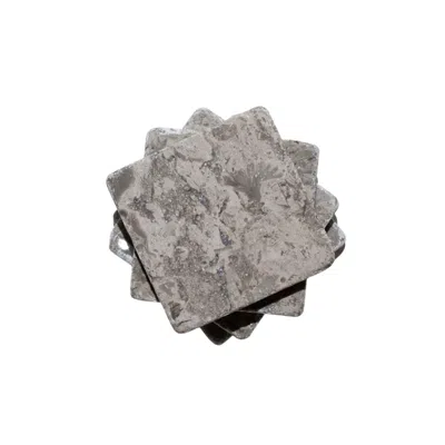The Parmatile Shop Brown Fossil Marble Coaster Set In Gray