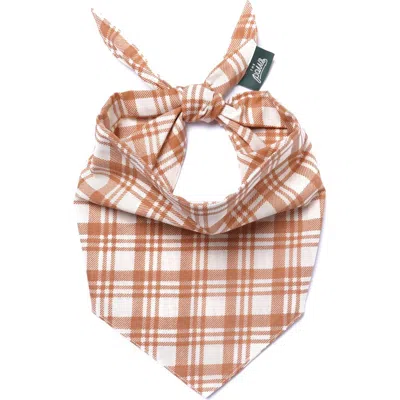 The Paws Ginger Dog Bandana In Orange