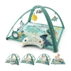 The Peanutshell Dino Baby Activity Center In Green