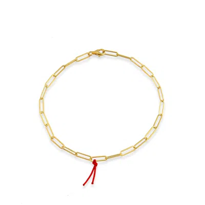 The Pheia Women's Paperclip Chain Gold Anklet In Gray