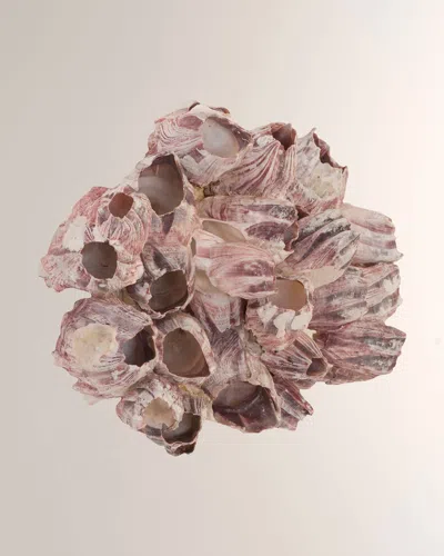 The Phillips Collection Barnacle Cluster Large Wall Art In Purple