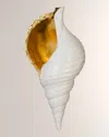THE PHILLIPS COLLECTION TRITON SHELL WALL ART
