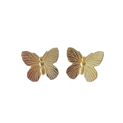 The Pink Reef Women's Gold Every Day Butterfly Stud