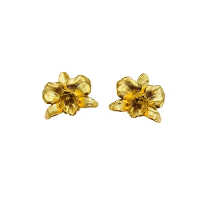 The Pink Reef Women's Gold French Orchid Earrings In Metallic