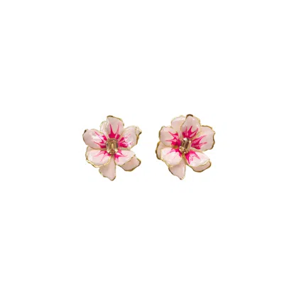 The Pink Reef Women's Orange Small Light Pink Jewel Box In Multi