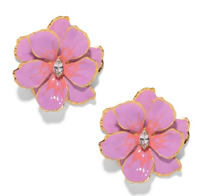 The Pink Reef Women's Purple  Large Peony Jewel Box