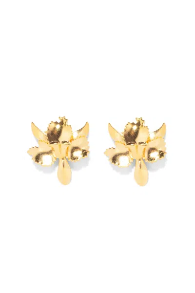 The Pink Reef Women's  Tiny Golden Orchid Earring