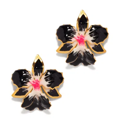 The Pink Reef Women's  Vanilla Orchid In Black & Hot Pink