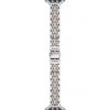 The Posh Tech Rainey Skinny Stainless Steel Apple Watch® Watchband In Metallic
