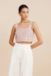 The Posse Lena Crop Top In Vintage Stripe
