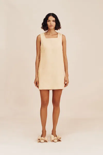 The Posse Alice Mini Dress In Dusty Citron