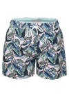 The Rocks Push Balmoral Boys' Congwong Swim Shorts In Blue