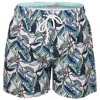 The Rocks Push Balmoral Men's Congwong Swim Shorts