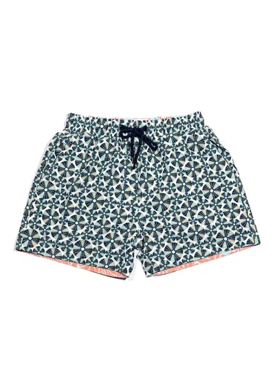 The Rocks Push Mens Designer Swim Shorts With Urchins Print