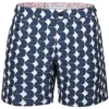 The Rocks Push Tama Men's Rays Shorts