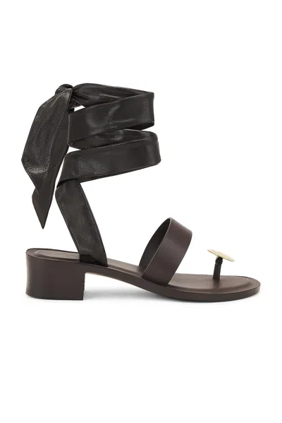 The Row Band Sandal In Espresso  Dark Brown  & Brass