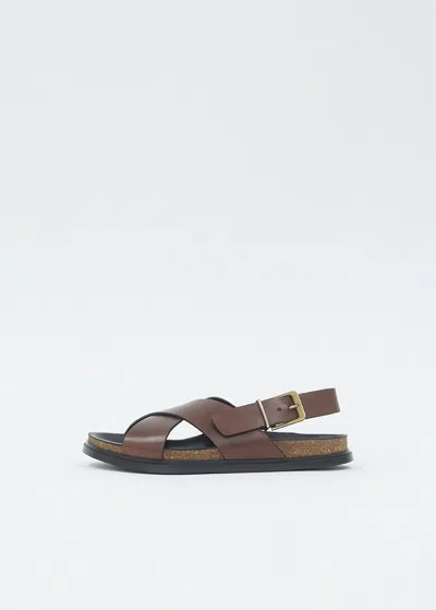 The Row Buckle Leather Sandal In Brown