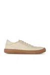 The Row Cotton Canvas Sneakers In Sage Tint