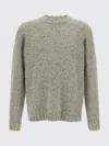 The Row Sweater  Men Color Grey In Gray