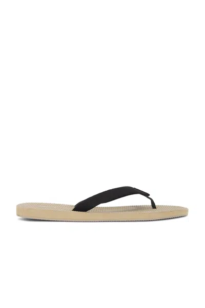 THE ROW DUNE CLASSIC SANDAL