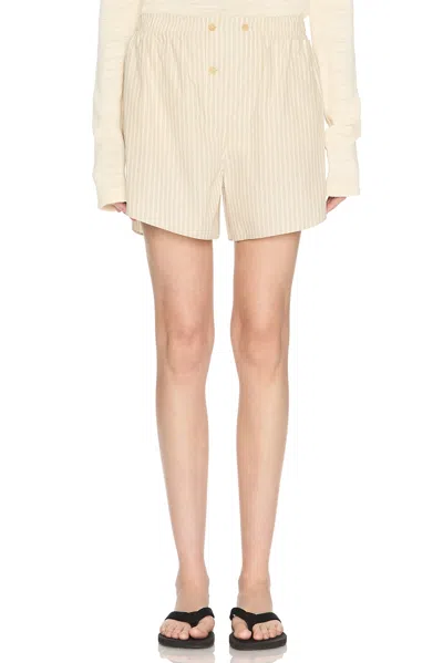 The Row Nicasia Shorts In Sage Tint & Graphene