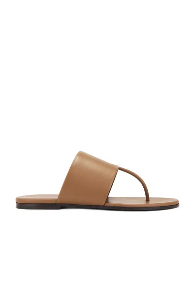 The Row Signum Flat Sandal In Fawn