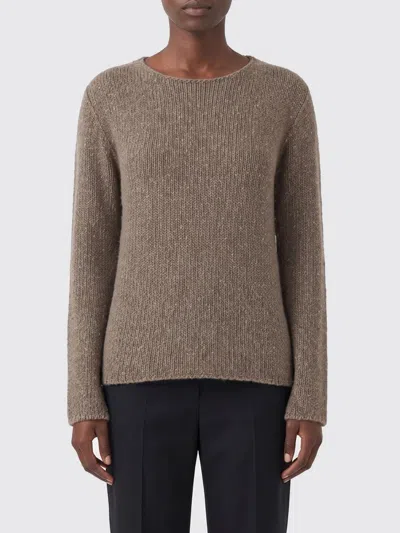 The Row Sweater Woman  In Brown
