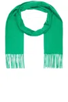 The Row Viktor Scarf In Green
