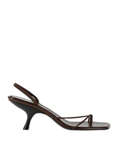 The Row Woman Thong Sandal Chocolate Brown Size 7 Leather