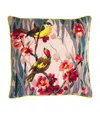 The Rug Company X Paul Smith Birdie Blossom Cushion