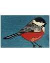 The Rug Market Chickadee 30x48in Doormat In Teal
