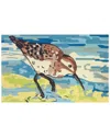 The Rug Market Sand Piper 30x48in Doormat In Multicolor
