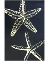The Rug Market Starfish Outline 30x48in Doormat In Indigo