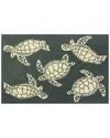 The Rug Market Turtle 30x48in Doormat In Aqua