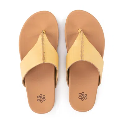 The Sak Everly Sandal In Brown