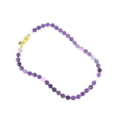 The Sak Hollis Collar Necklace In Purple