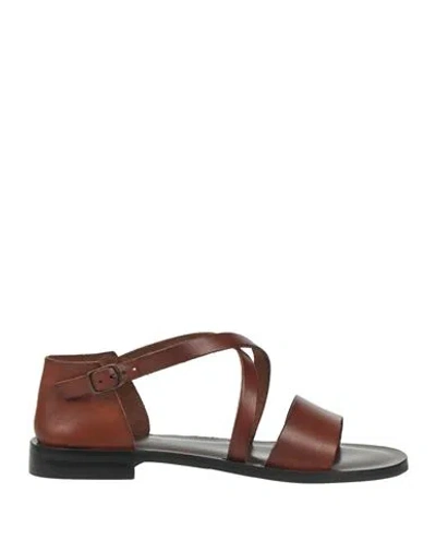 The Sandals Factory Woman Sandals Brown Size 6 Leather