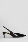 The Seller Pumps In Black Leather In Black