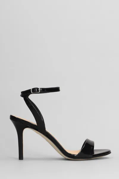 The Seller Sandals In Black Leather