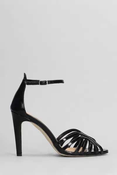 The Seller Sandals In Black Leather