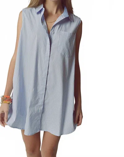 The Shirt Sleeveless Raya Dress In Blue/white Stripe