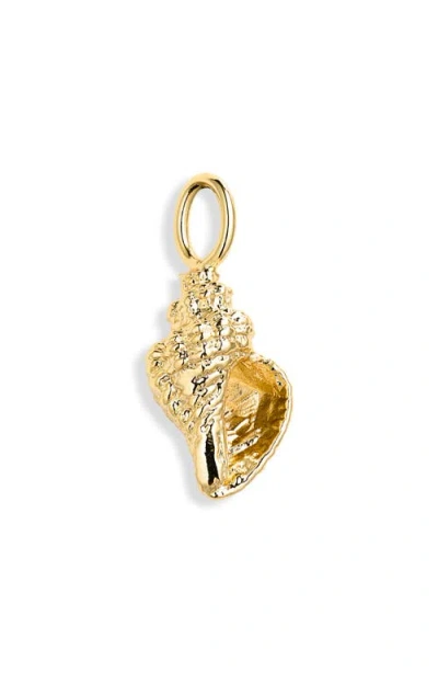 The Sis Kiss Conch Shell Charm In Gold