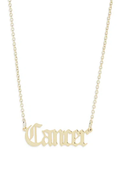 The Sis Kiss Zodiac Pendant Necklace In Gold