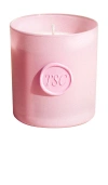 The Skinny Confidential Non-toxic Candle In Eucalyptus