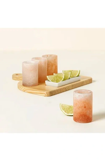 The Spice Lab Himalayan Salt Tequila Glasses Set In Neutral
