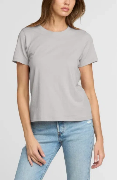 The Standard Stitch The Organic Cotton Crew Tee In Gray