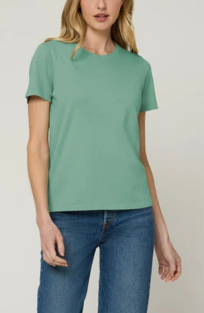 The Standard Stitch The Organic Cotton Crew Tee In Green